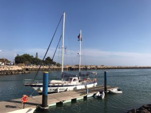 IMG-8441 1